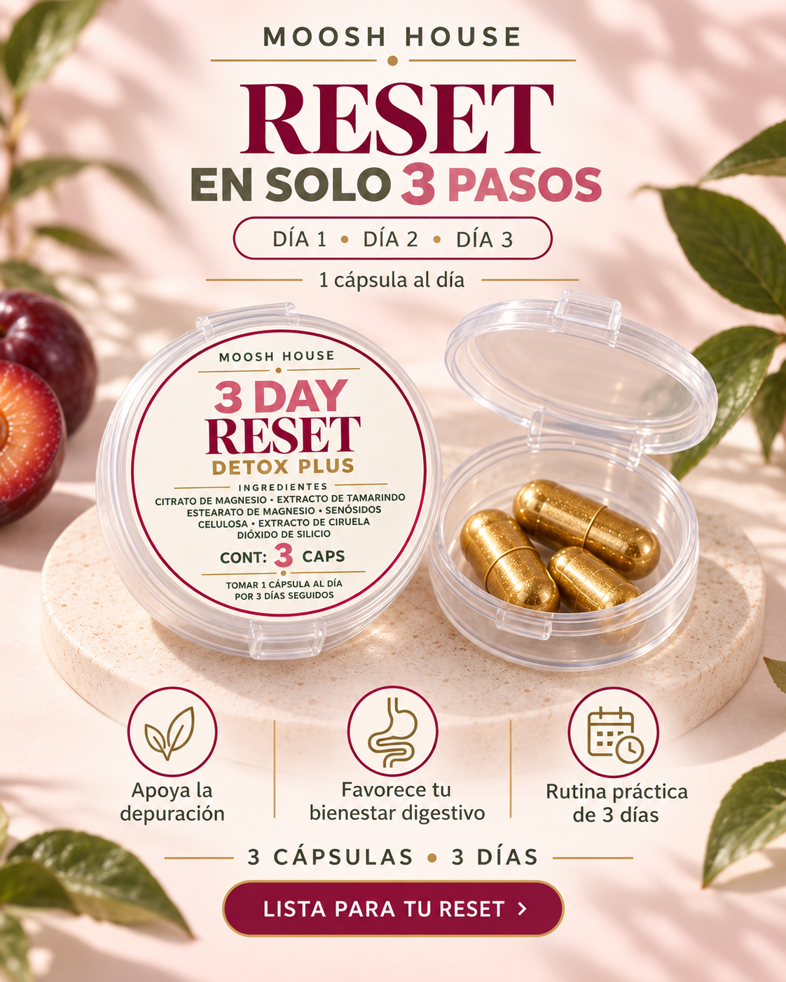 3 DAY RESET (DETOX PLUS)