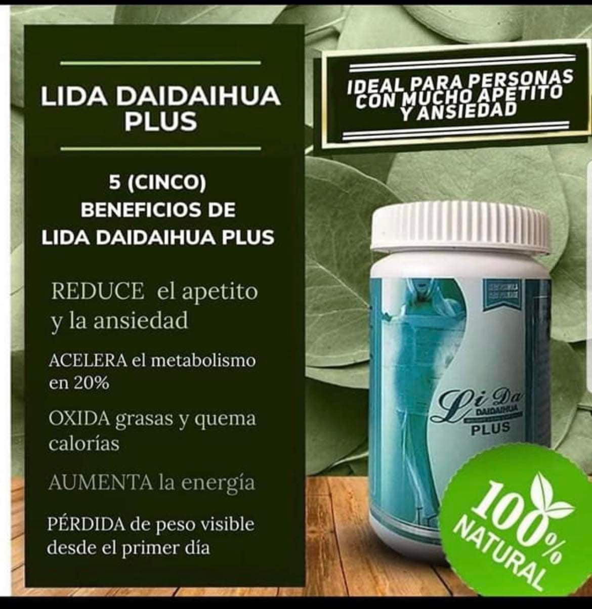 LIDA PLUS