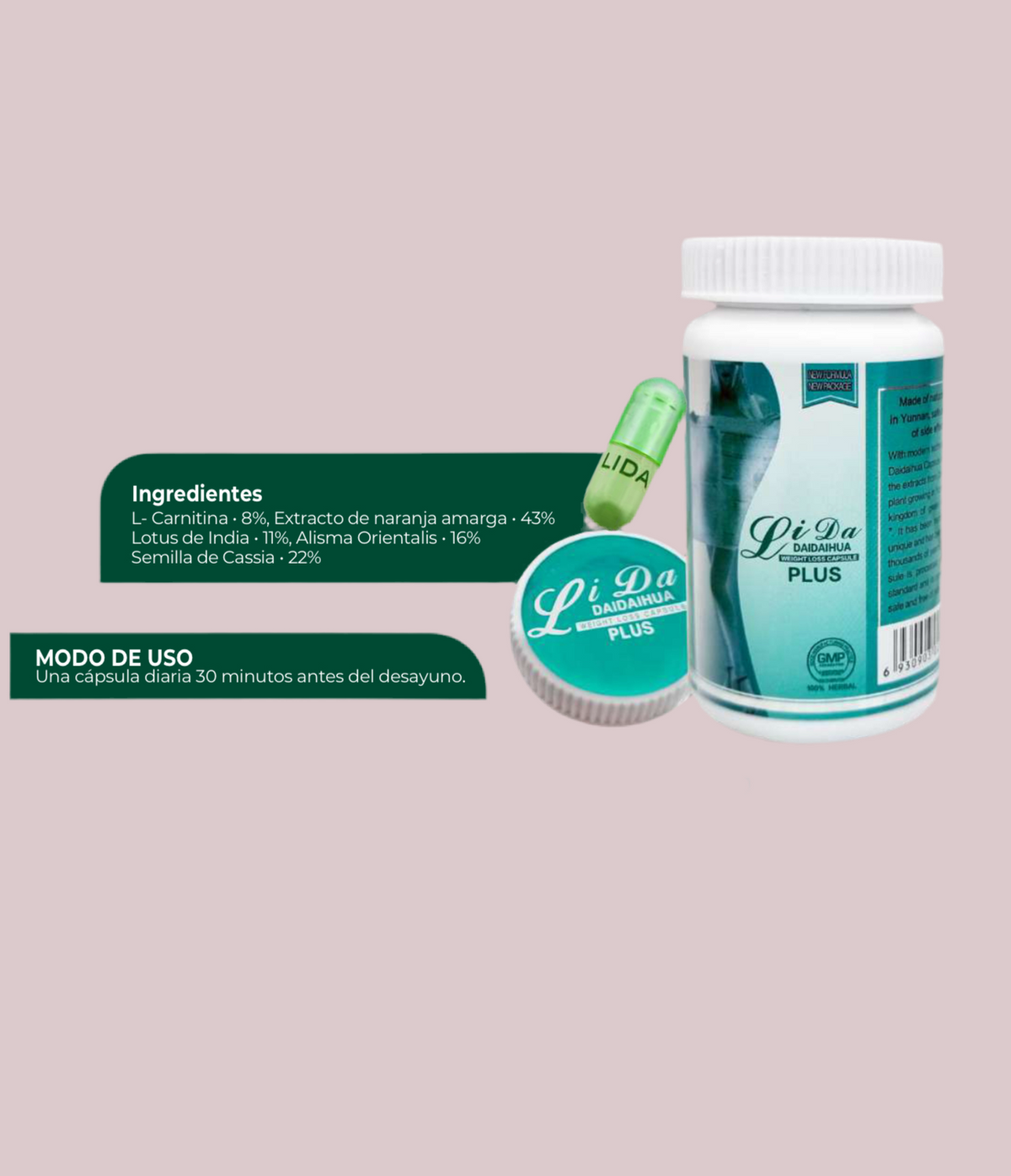 Lida Plus✨